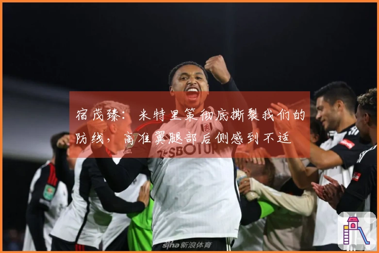 宿茂臻:米特里策彻底撕裂我们的防线,高准翼腿部后侧感到不适